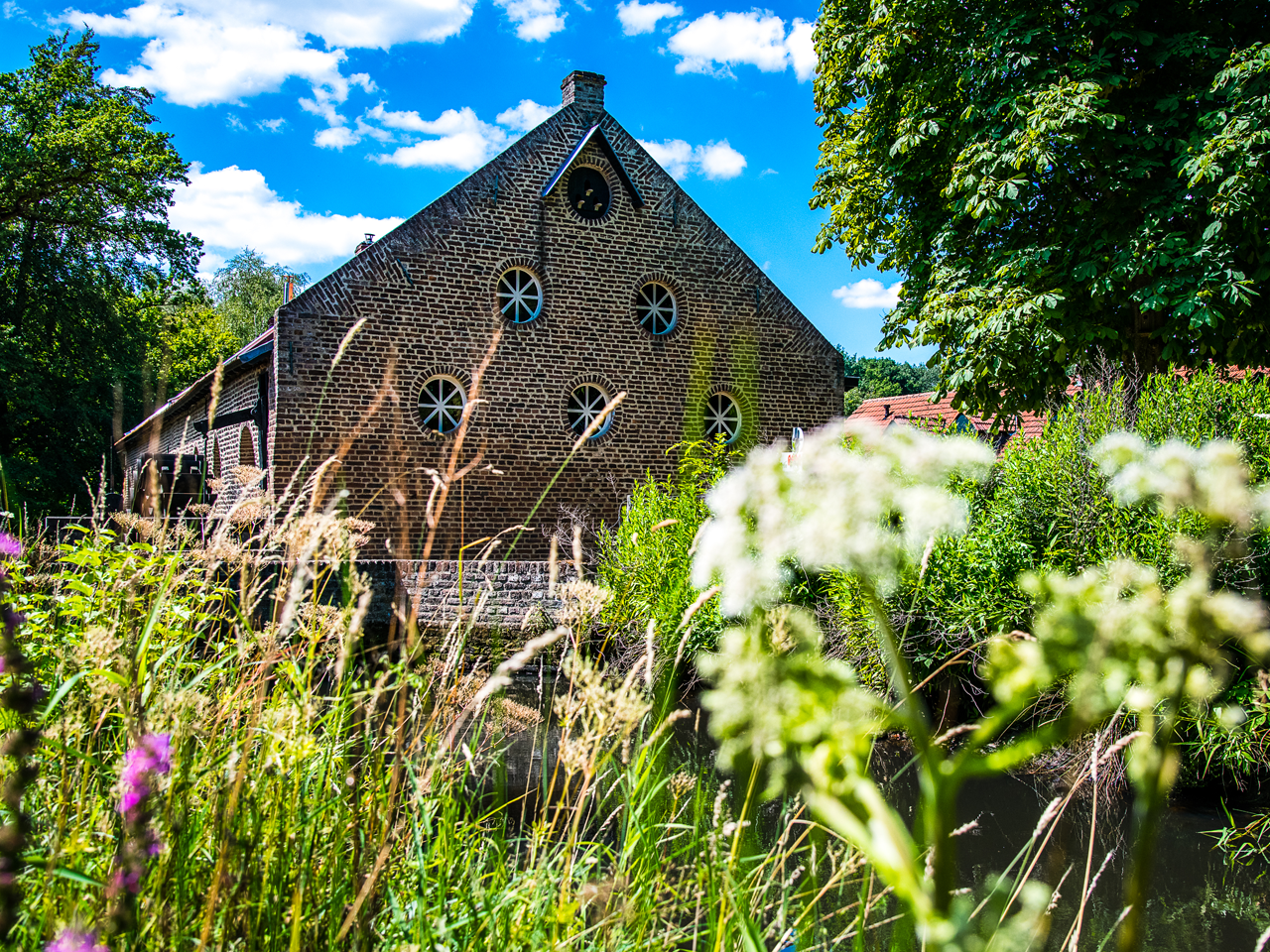 Op de voorgrond groene planten en op de achtergrond ligt de Gitstappermolen