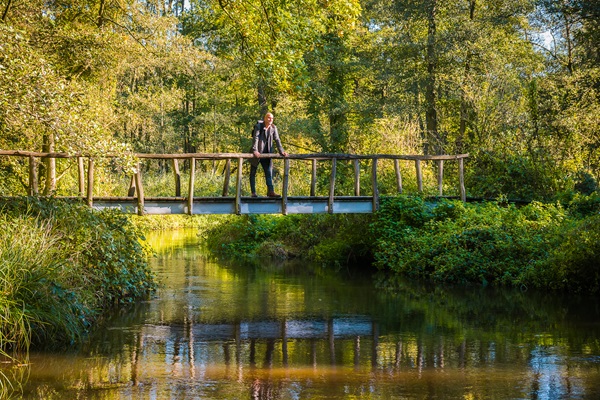 Wanderer genießt die Aussicht von einer Brücke über den Bach beim Wandern im Nationalpark De Meinweg