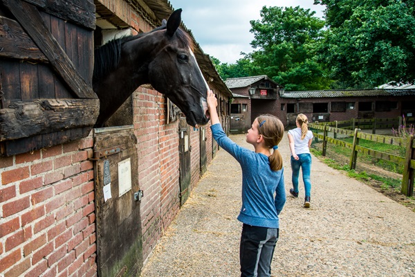 Girl petting a horse standing in the stable at Rijstal Venhof while another girl walks away in the background