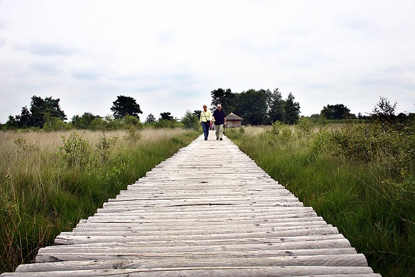 Wandelen over de knuppelbrug in Nationaal Park de Groote Peel