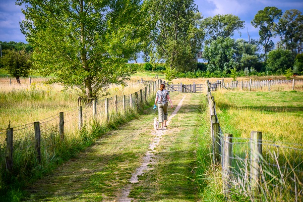 Wandelaar met hond op het wandelpad in Buggenum