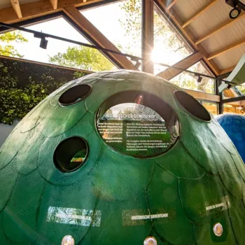 Groot groen drakenei met kijkgaten in het VVV Inspiratiepunt in Beesel, met informatie over de historische groentetuin op het raam. De ruimte is licht en modern met houten dakconstructie en zicht op de natuur buiten.