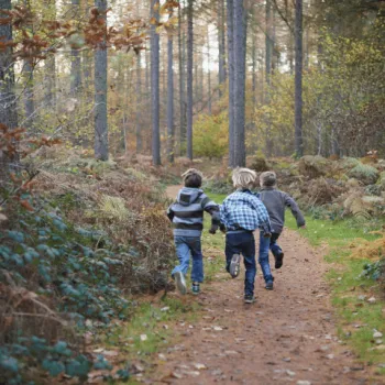 Jongens rennen door het bos