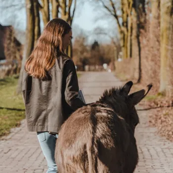 meisje met ezel in een laan